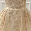 Abiti da sposa champagne con spalle scoperte con ricami Abiti da sposa fantasia a trapezio Abiti da sposa su misura con lacci sul retro