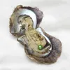 Entières 25 couleurs 67 mm Perles jumelles naturelles dans les huîtres de bricolage en eau salée Akoya Oysters avec des perles doubles à l'intérieur de Love Wish Pearl GIF7731498