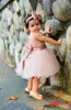 귀여운 아기 유아 유아 공식 파티 드레스 홍당무 핑크 장미 골드 스팽글 보우 새쉬 짧은 투투 여자 대회 가운 값싼 20197661984