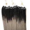 Micro Loop Ring Ombre förlängning Remy Hair Natural Colored Hair Locks 10-26'micro Bead Hair Extensions 1g / Strand 100g