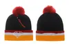 Whole Pink Dolphin Beanie Hats with pom winter warm hip hop headwear sport outdoors knitted wool caps for women 228b