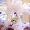 Lot 10-14 inç Beyaz Devekuşu Tüy Taş Zanaat Malzemeleri Düğün Partisi Masa Centerpieces Dekorasyon
