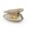 Diy akoya große runde Perlen lose Perlen kultivierte frische Austernperlen Muschel Farm Support Dropshipping Großhandel 5-7mm Multicolo