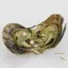 DIY New Akoya hohe Qualität billige Liebe Meerwasserschalen-Zwillinge Perlen Auster 6-7mm rot grauer Perlen Auster mit Vakuumverpackung