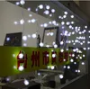 Multi-cor 4m * 0.65m 100 LED Neve Edelweiss Cortinas Corda de Natal Festa de Casamento Casa de férias Jardim Decoração
