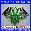 Kawasaki ZX 636 600CC ZX6R 94 95 96 97 213hm.0 ZX600 ZX636 ZX 6R 94 97 ZX-6R 1994 1995 1995 1996 1996 1996 1996 1996 1996 1996