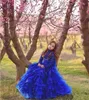 Fall 2018 Pattern Flowergirl Dresses High Neck Lace Bodice Cascading Ruffles Skirt Long Sleeves Royal Blue Kids Wedding Dresses