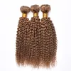 New Arrive Brazilian Honey Blonde Human Hair Bundles 27# Colored Kinky Curly Human Hair Extension Cheap Brazilian Virgin Hair Weaves