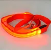 Collare per cani in nylon con LED, sicurezza notturna lampeggiante bagliore nel guinzaglio per cani scuri, collari luminosi per cani Articoli per animali domestici Dropship