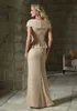 Elegante pizzo madre della sposa abiti con scollo a V abiti da sera formale lunghezza del pavimento abito da sposa da ballo