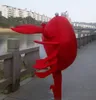 2018 Costume de mascotte de crabe rouge d'usine Halloween Accessoires d'anniversaire de Noël Costumes2391