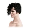 FashionShort Curly Synthetic Hair Perruques Afro avec Ombre Brown Jerry Curl Perruque pour Femmes Noires Cheveux Résistants À La Chaleur Perruques Afro-Américaines Cosplay