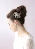 Brindilles miel coiffures de mariage accessoires de cheveux peigne à cheveux de mariée avec perles cristaux femmes bijoux de cheveux chapellerie de mariée BW-HP028