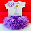 Baby-erste Geburtstags-Outfits Tutu Tulle 1 Jahr-Party Kommunion Kleinkind Taufkleid Fluffy rosa Geburtstags-Baby Kleider 1 Jahr Kleidung Anzug