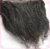 Capelli umani vergini mongoli afro-americani 100G 4a/4b/4c Clip ricci afro crespi nelle estensioni dei capelli per donna nera