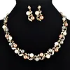 New Europe Fashion Party Casual Jewelry Set Women's Faux Pearl Rhinestone Leaves Halsband med örhängen S98