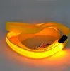 LED-beleuchtete Hundeleine, langlebig, leicht. Hundeleine, LED-beleuchtetes Haustierhalsband, helles, blinkendes Nylon, verstellbar