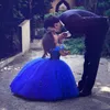 Royal Blue Ball Gown Flower Girl Dresses Half Sleeve Lace Appliques Tulle Sweet Kids Formal Wear Pageant Girl Dresses313K