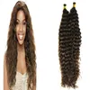 I Wskazówka Remy Human Hair Extensions 100g Kinky Kręcone 1g / Strands Remy Hair Pre Bonded Keratyny Włosy Przedłużenie na kapsułce keratyny