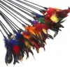 Bell feathers Pet tease cat and stick Color interactive teasing cat toys Fishes deity to amuse the cat pole T4H0239