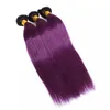 Straight Purple Ombre Virgin Peruansk Human Hair Bundle hanterar stängning 4st Two Tone 1bpurple Ombre Weaves med 4x4 spets 9222457