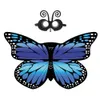 10 estilo arco-íris monarca borboleta trajes bonito chiffon chiffon wings + máscara + headband cosplay capa festa favores
