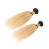 Brésilien Blonde Ombre Vierge Cheveux Humains 2Pcs Offres Bundles avec Frontal Kinky Curly 1B / 613 Ombre 13x4 Fermeture frontale en dentelle avec tissages