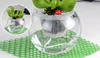 Wholesale orchidee Ademend Slotted Clear Plastic Net Pot Cup, Self Watering Binnenpot in elke Geschikte Glas Planter 3 "/ 4"