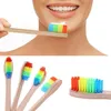 Kleurrijke houten regenboog bamboe tandenborstel zacht hoofd haren familie orale zorg grond borstel je tanden voor volwassenen orale hygiëne