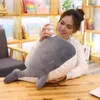 Narval animais boneca baleia brinquedo de pelúcia bonito menina travesseiros de dormir grande macio golfinho bonecas coreano bonito 31 polegada 80cm dy503129695911