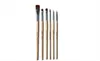 IMAGIC 6pcs/set brush painting paint brush for body and face make up brush set tools with wood handle and Kolinsky