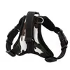 Breathable Pet Dog Matched Leashes and Adjustable for Dogs Puppy Cat Pets Chest Strap Leash Comfortable 4 Sizes259G