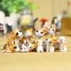 9pcs Kawaii Cheese Cat Miniature Figurine Fairy Miniatures Figurines japanese anime children figure world Action Toy Figures9091918