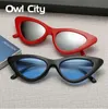 Owl City Vintage Frauen Sonnenbrille Cat Eye Brillen Marke Designer Retro Sonnenbrille Weibliche Oculos de Sol UV400 Sonnenbrille