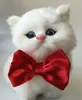 100st/Lot Dog Apparel Pet Puppy Cat Bow Ties Bowknot Party Valentine Grooming Products LY12