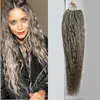 8A Brésilien Kinky Cheveux bouclés 1G Micro Double boucle Extensions de cheveux 100g 100s Grey Curly Micro Bague Extensions de cheveux Silver