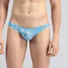 Sexy hommes coton String Bikini sous-vêtements slips dessin animé impression hommes culottes florales confort Gay poche taille basse slips hommes sous-vêtements