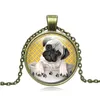 60st Bago Dog Necklace American Pitbull Terrier Pet Puppy Rescue Pendant Bulldog smycken för djurälskare Tillbehör8988672