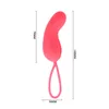 Pretty Love Silicone 12 Funzioni Vibrazione Telecomando senza fili Amore vibrante per le donne Vibratori giocattolo sensuale per adulti Y18104303252