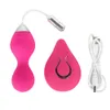 Bolas de Kegel USB Carregado Vagina Apertado Exercício 10 Velocidade de Controle Remoto Sem Fio Vibração Vaginal Bola Amor Vibrador Ovo Brinquedos Sexuais Y18102605