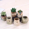 多肉植物のための漫画フクロウ形の植木鉢植物の植木鉢植木鉢陶磁器の小さいミニの家/庭/オフィスの装飾HH7-856