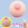 Squishy Cat Phone Accessories Kawaii Mini Soft Squishy Animals Mano Spremere Giocattoli Divertenti 38