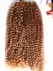 Brazilian Human Virgin Remy Kinky Curly Hair Extensions Remy Dark Blonde Color Hair Weft 23Bundles For Full Head8978497