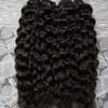 Pre bonded Curly Hair U Tip Human Hair Extensions Nautral Color Pre-bonded Full Head Brazilian Remy Hair