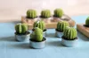 Cactus Geurkaars Groene Vlees Plant Home Interieur Scent Candles Romantisch Groen Kaars Theelicht Kaarsen Mini Mooie Gift Wen5477