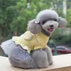 Vêtements de chien automne et robe d'hiver princesse robe animal en peluche petit chien