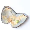 2018 Nuove ostriche con perle Star Edison Perle 810 mm Multicolori Perle d'acqua dolce per gioielli regalo fai da te Confezionati sottovuoto interi2958082