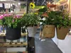 Borsa per fioriera lavabile in carta Kraft Porta piante da appendere Borsa per vasi da fiori resistente impermeabile Supporto per piante Cestino portaoggetti per giardinaggio domestico