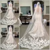 Moda capela comprimento tule noiva véus de casamento com pente apliques decoração longo véu de noiva acessórios para o cabelo307q