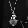 Äkta maskrosfrö i en önskan smycken silver halsband hängsmycke gör ett önskemål halsband glas Dome maskros blomma charm smycken
